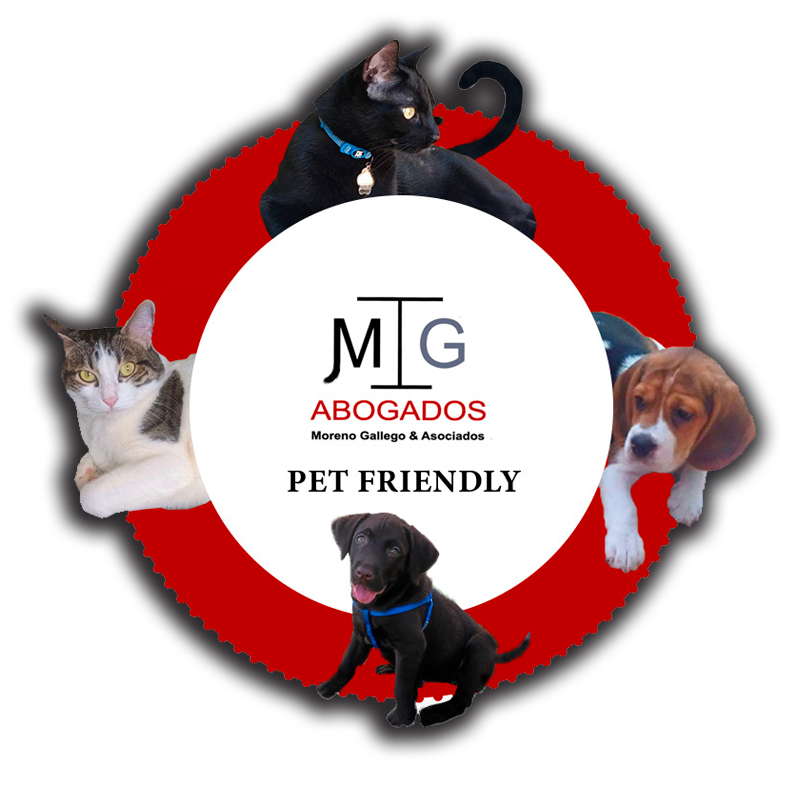 Moreno Gallego y Asociados Pet Friendly